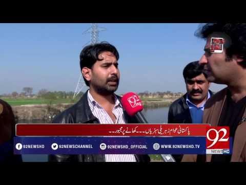 Andher Nagri Zehrili Sabzion ki Markets mai Frokhat 11-02-2017 - 92NewsHDPlus