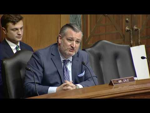 Sen. Ted Cruz Questions Witnesses on Netflix and Warner Bros. Transaction