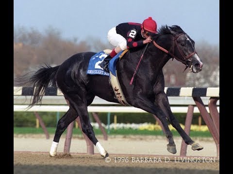 Wood Memorial Stakes (G1) 1996