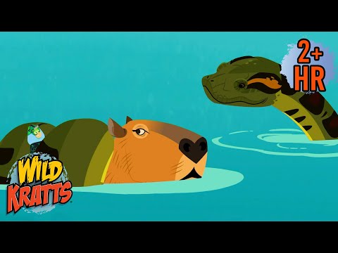 Anaconda Attacks Capybara | Creature Rescues | Animals for Kids | Wild Kratts