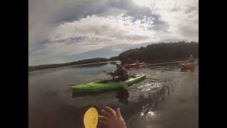preview picture of video 'Apollo Beach Kayaking Trip 1, 2015'