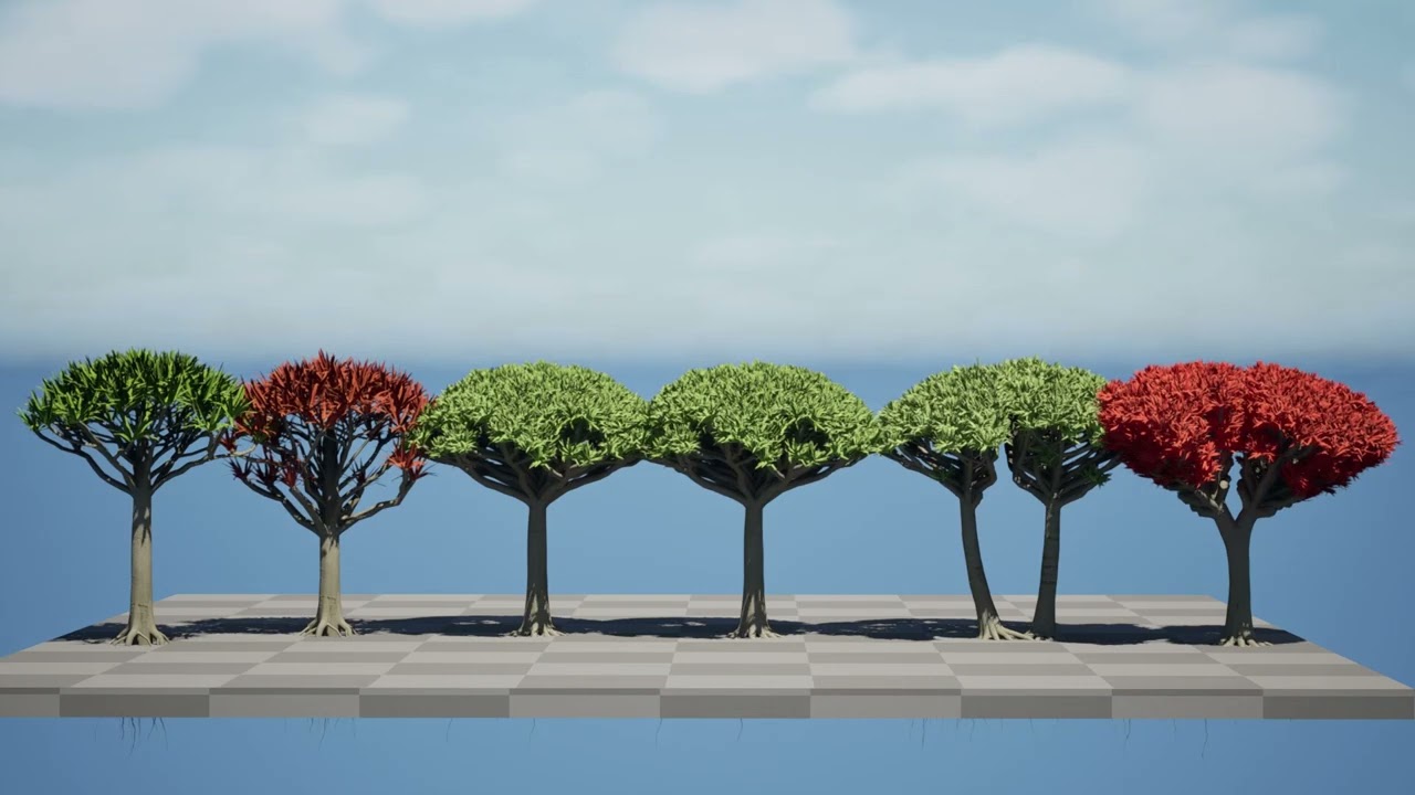 竜血樹 3Dモデル