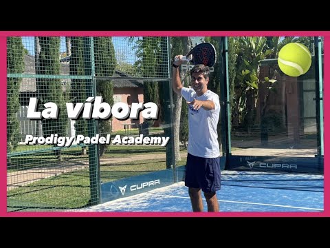 🎾La víbora 🎾 The vibora  #20 Prodigy Land