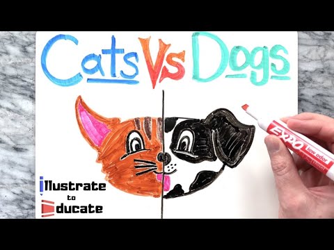 Are dogs better than cats? - The best pet debate - YouTube