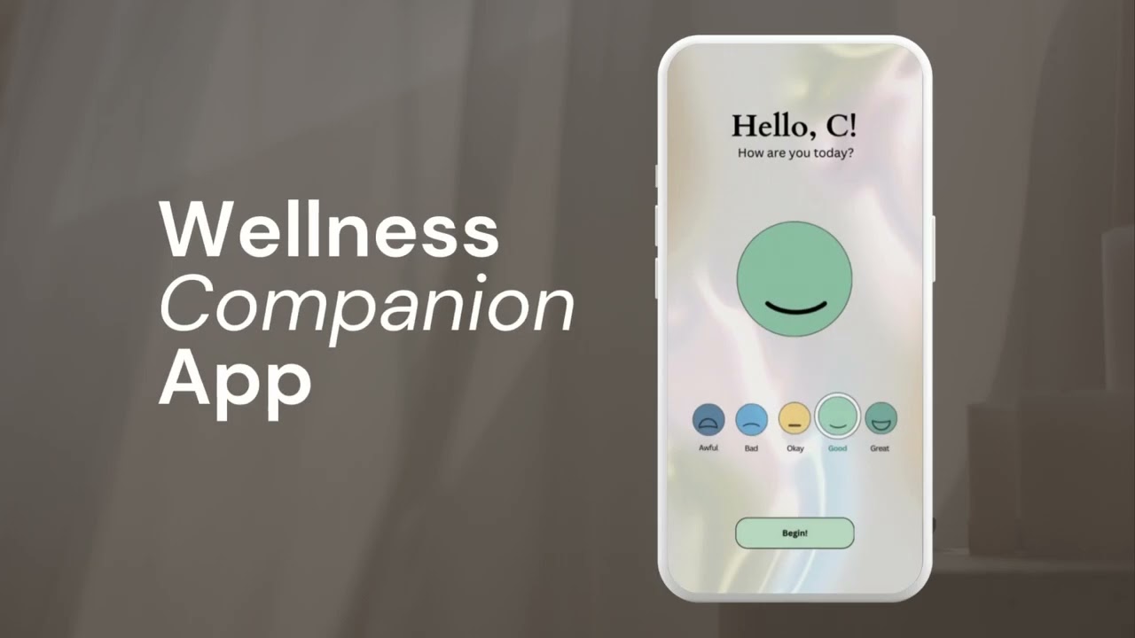 The Self Hug - 2024 Shark Tank of Wellness Global Student Competition