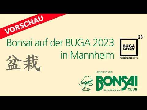 Bonsai auf der BUGA 2023. Vorschau auf eine interessante Woche voller Bonsai-Ereignisse