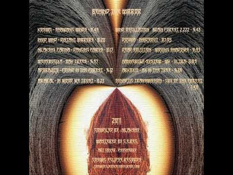 02 Invid Mind - Distant Mirrors