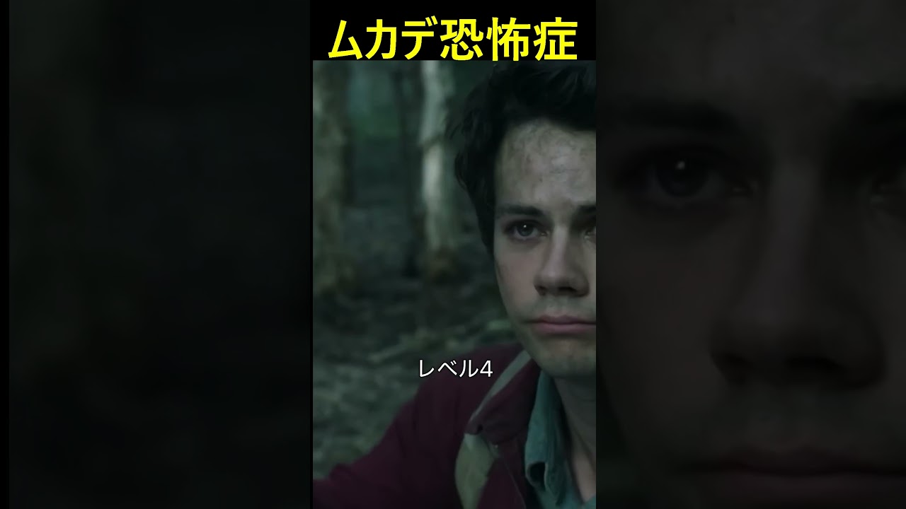 ⚠️ 心臓が強い方のみご覧ください