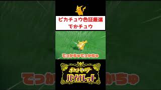 ピカチュウ色証厳選【ポケモンSV】#ゲーム実況 #shorts #ポケモン #色違い #厳選 #ピカチュウ #switch2