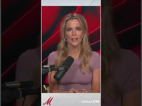 Is It Possible Bryan Kohberger Had an Accomplice in Idaho College Quadruple Murder?