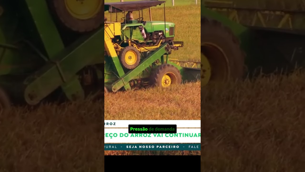 Por que o preço do arroz vai continuar subindo em agosto?