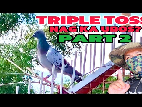 EP817 - P2 TRIPLE TOSS SA 35KM DUMAGIT PA NG DALAWA PART 2