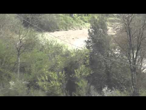 Liburna Ronde Terra 2013