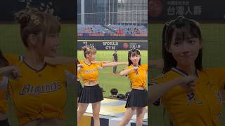 【Passion Sisters】練習生#牛奶#少鹽#out！水啦！#台湾チアリーディングチーム#中華職棒#CPBL#洲際#20240927