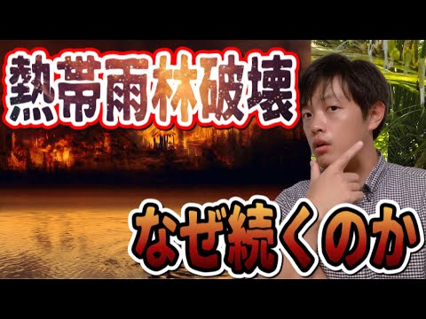 火災により熱帯雨林が何年にもわたって弱体化