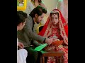 Alizeh Shah Nikah Moment Shorts Nikah Alizehshah Taqdeer