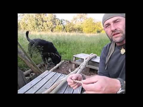 Parallelbund / Dreibeinbund