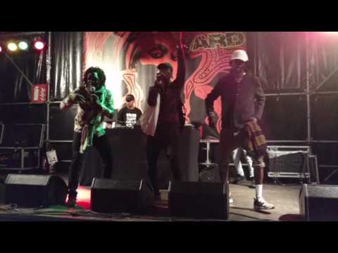 Me and the herb - Royal Blu, Runkus , Blvk H3ro & Jamie rodigan  3@regge geel 2017