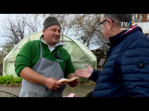 Ţăst Show - The Pig's Alms at Poiana Mare