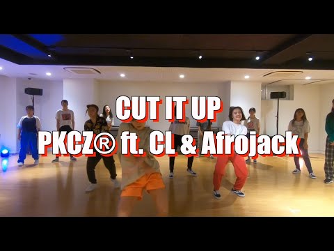 CUT IT UP - PKCZ® ft. CL & Afrojack / SHIZUKA from MO★JO choreography