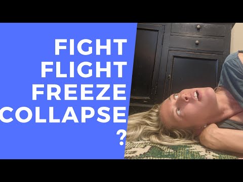 Fight, Flight, Freeze, and Collapse The COLLAPSE trauma response explained!