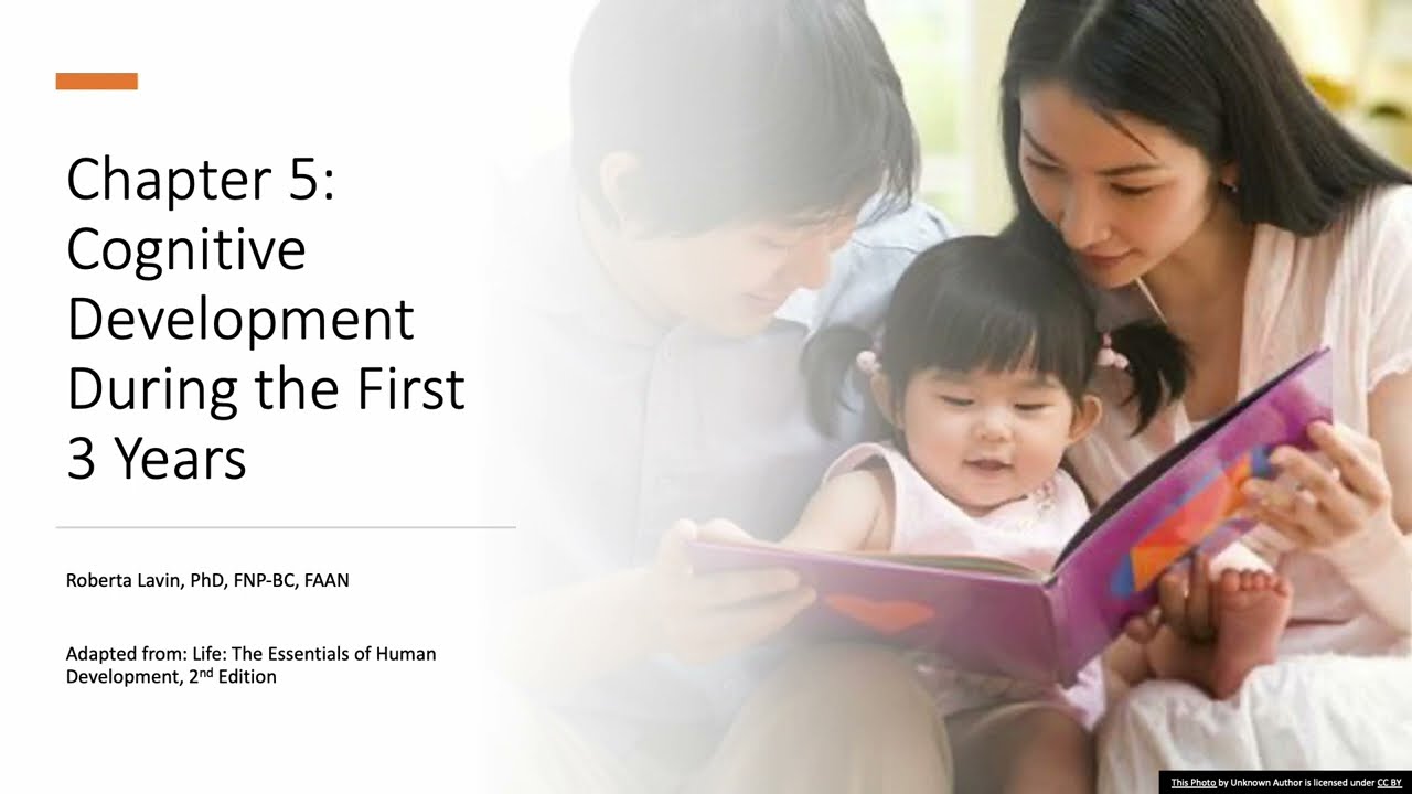 Chapter 5 Cognitive Development During the First Three Years