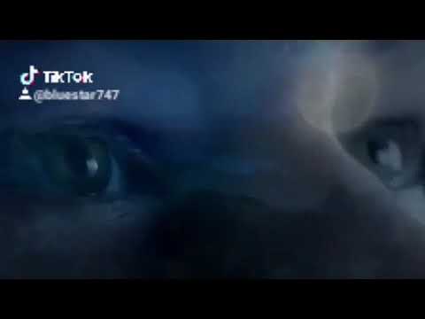 Once upon a time Henry remembers