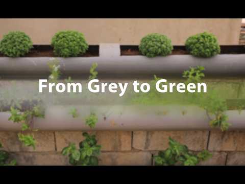 Organic rooftops farm in Palestinian Refugee Camps
