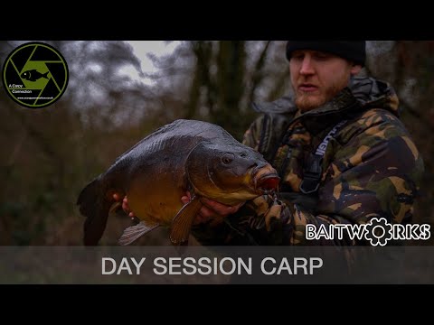Carp Fishing - A Carpy Connection - Pine Pool Kingsbury 