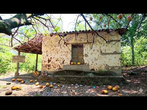 Casa Abandonada 🏚️ Fue Escuela en 1920