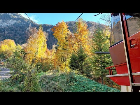 Vitznau - Wissifluh Luftseilbahn Bergfahrt 2022 Seilbahn téléphérique cable car