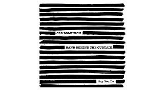 Old Dominion Say You Do