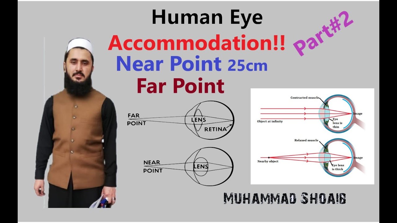 Human Eye | Part 2