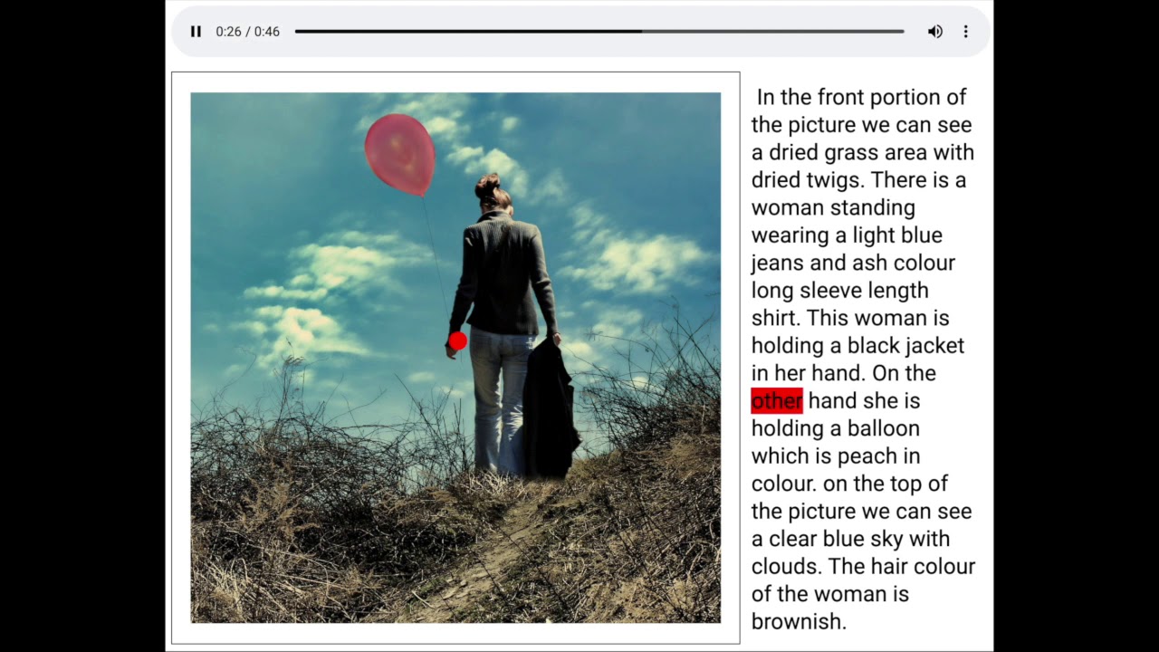 Localized Narratives Example