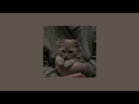 Imagine Dragons - Sharks //speed up