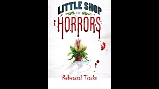 Little Shop of Horrors - 4A - WSKID Radio Jingle