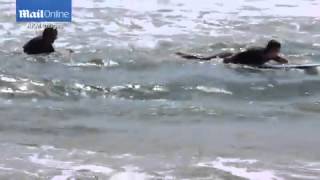 PICTURE EXCLUSIVE: Josh Brolin saves a distressed surfer from drowning in Hawaii by helping him to