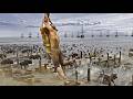 The Legend Of Tarzan Movie Explained In Hindi Urdu The Legend Of Tarzan Full Movie Dubbed In Hindi