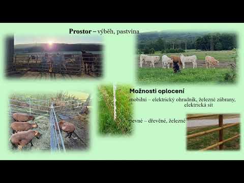 Jak si založit farmu