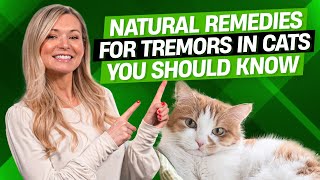 Are You Aware of These 7 Natural Remedies for Cat Tremors
