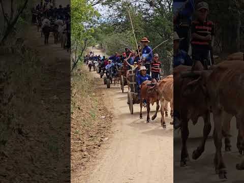 Festa do Carro de Boi no Sítio Lagoa das Craíbas   Igaci, Alagoas 27/09/ 2026  ERIEL OFICIAL 🎥