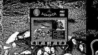 Lil Ugly Mane   Serious Shit