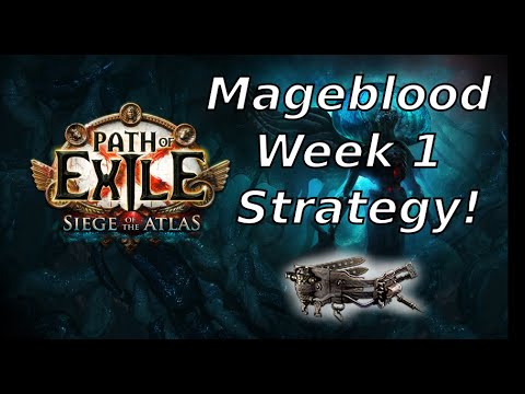 [PoE 3.17] How I got my Mageblood in first week of the league!