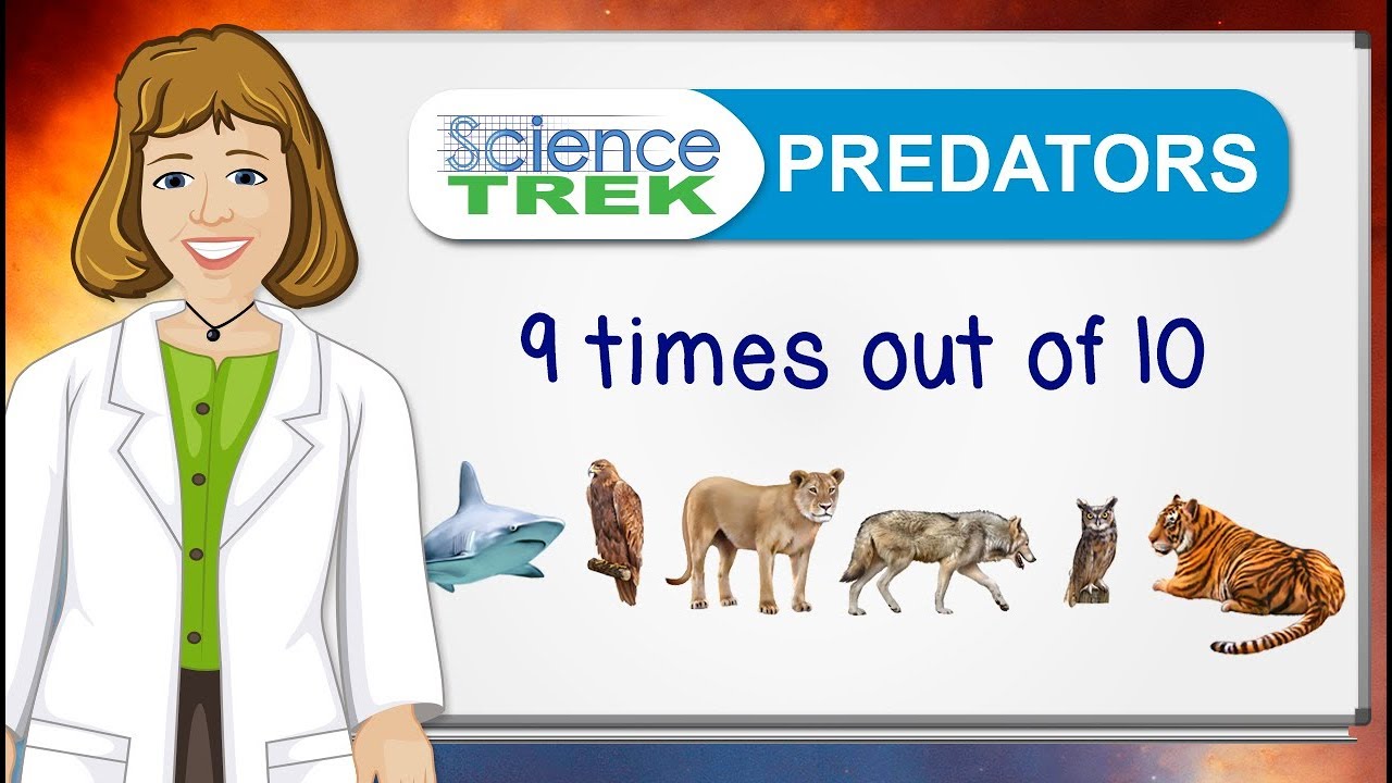 Predators | Science Trek