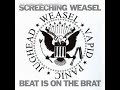 Screeching Weasel - Judy Is a Punk