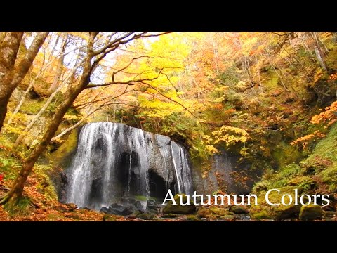 [Cores do outono] Cachoeira Tatsuzawa Fudo outono Cidade de Inawashiro, província de Fukushima Cachoeira Tatsuzawa Fudo outono