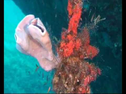 Hurghada, Hafen, Hurghada - allgemein,Ägypten