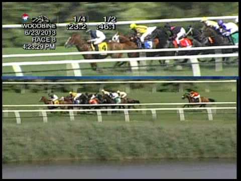 Woodbine, Tbred, June 23, Race 8