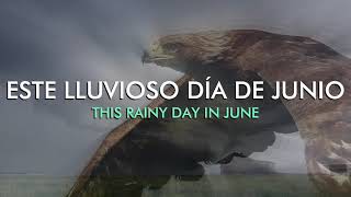 The Kinks - Rainy day in June [Subtitulada]
