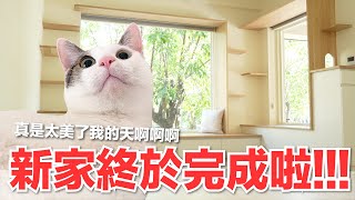 [問卦] 好味小姐的家是不是算頂了？